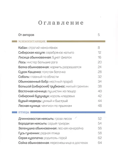 Дикие и симпатичные. 35 животных Новосибирской области, с которыми вам нужно познакомиться - фото 7