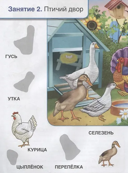 Кто, где живет. Школа Жуковой - фото 3