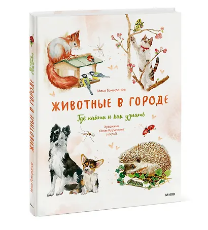 Животные в городе. Где найти и как узнать - фото 3