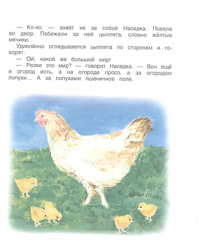 Всё в лесу поёт - фото 5