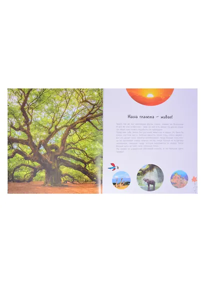 Тайны космоса. Звезды и планеты бескрайней Вселенной - фото 5