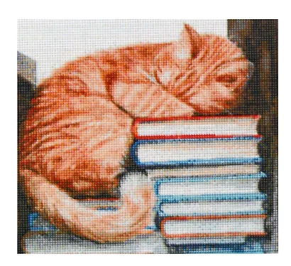 Алмазная мозаика (классическая) с подрамником, с полным заполнением "Котик спит в книгах", 30 х 30 см - фото 2