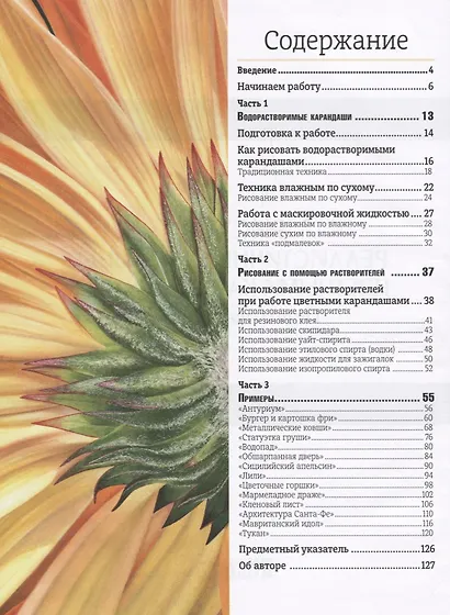 Рисуем реалистичные картины цветными карандашами. Пошаговые уроки. Школа художника - фото 6