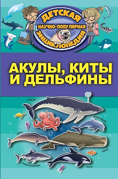 Акулы, киты, дельфины - фото 1