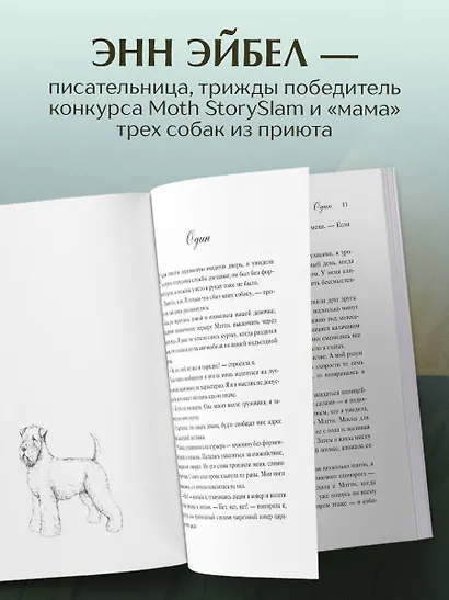 Мэтти, Майло и я. История о любви, утрате и том, как собаки помогают нам жить - фото 5
