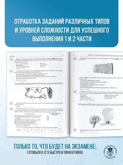 ЕГЭ-2026. Биология. 10 тренировочных вариантов экзаменационных работ для подготовки к единому государственному экзамену - фото 7