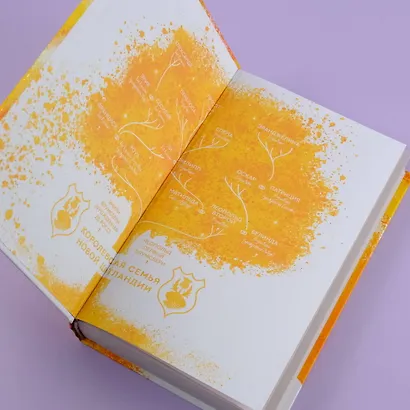 Поцелуй меня сейчас - фото 7