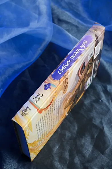 Светлый пепел луны. Книга 3. Новелла - фото 7