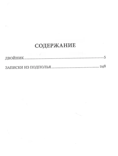 Двойник - фото 2