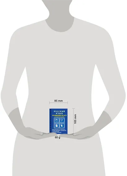 Русский язык. Сочинение на ЕГЭ по новым критериям - фото 4