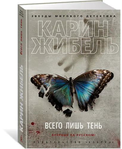 Всего лишь тень - фото 2
