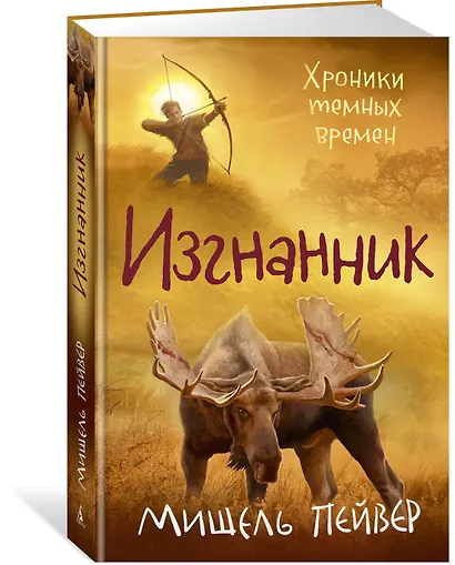 Хроники темных времен. Книга 4. Изгнанник - фото 2