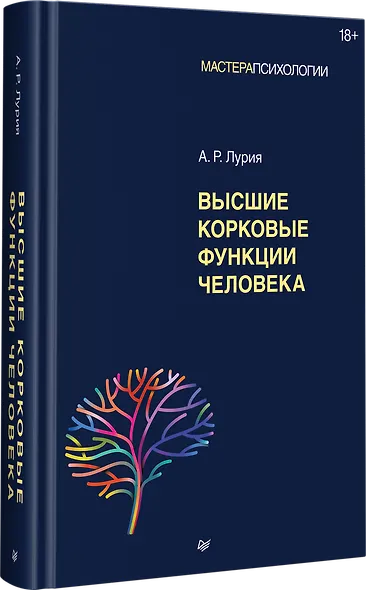 Высшие корковые функции человека - фото 2