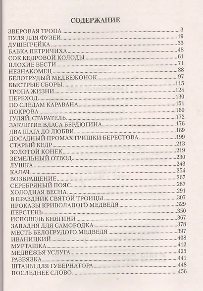 Серебряный пояс - фото 2