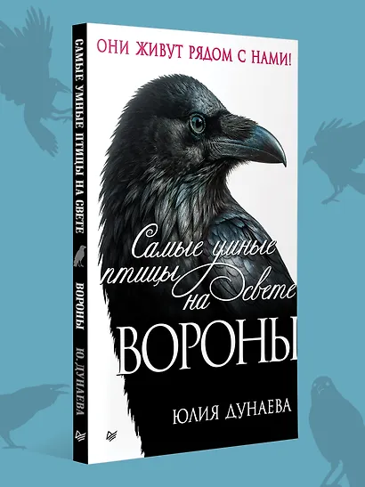 Самые умные птицы на свете. Вороны - фото 4