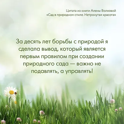 Сад в природном стиле. Нетронутая красота - фото 7