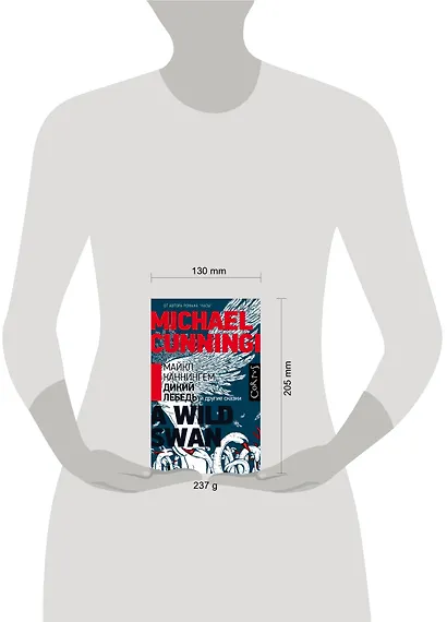 Дикий лебедь и другие сказки - фото 3