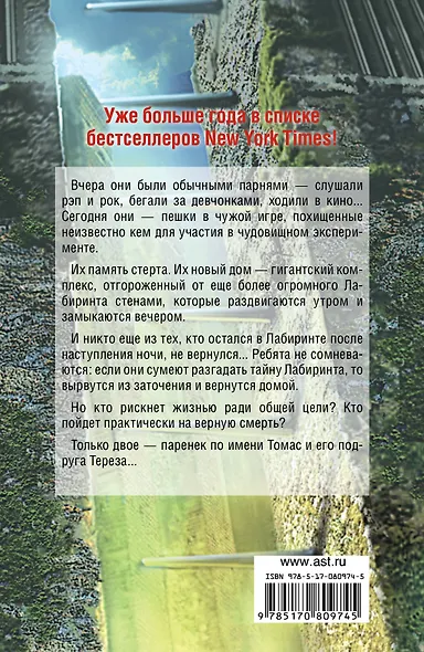 Бегущий по Лабиринту - фото 2