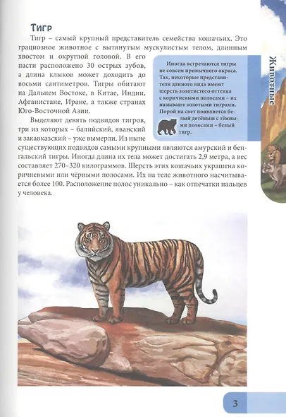 ЭНЦИКЛОПЕДИЯ. В МИРЕ ЗНАНИЙ. ХИЩНИКИ - фото 4