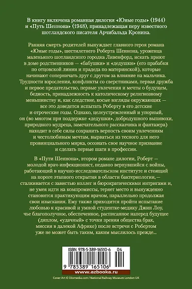 Юные годы. Путь Шеннона - фото 2