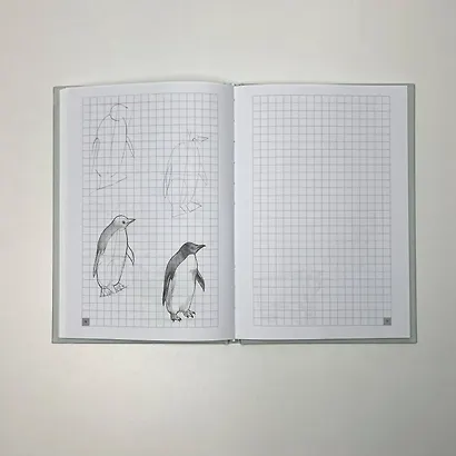 Творческий курс по рисованию. Рисуем животных! - фото 5