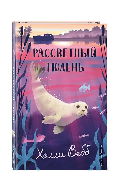 Рассветный тюлень - фото 3