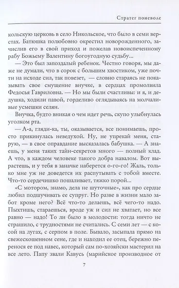 Стратег поневоле - фото 5