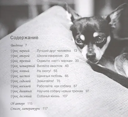 Наши лучшие книги о собаках. 10 простых уроков счастья для владельцев собак (комплект из 4 книг) - фото 2