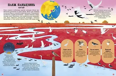 Удивительные животные и где они обитают - фото 5