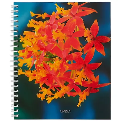 Тетрадь в клетку «В утренней дымке»‎, А5, 80 листов - фото 4