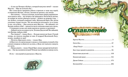 Маугли - фото 8