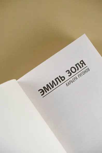 Карьера Ругонов - фото 6