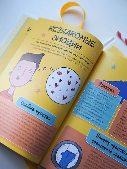 Как взрослеют мальчики. Гид по изменениям тела и настроения - фото 12