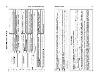 Русский язык: наглядно и доступно - фото 6