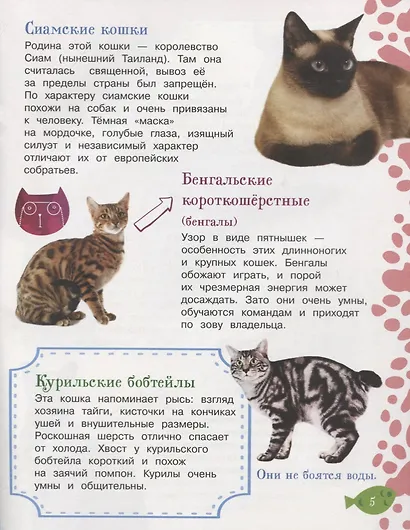 Как воспитать котенка + наклейки внутри - фото 4