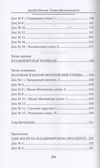 Владимирский проспект - фото 3