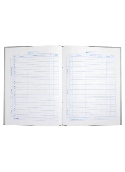 Дневник для младших классов Феникс+, "Космонавт" - фото 2