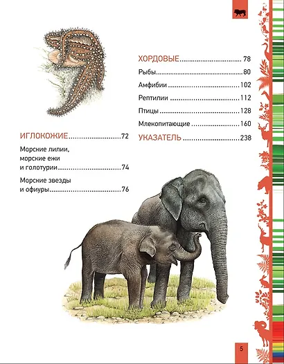 Животные. Большая энциклопедия - фото 3