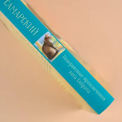 Невероятные приключения кота Сократа - фото 10