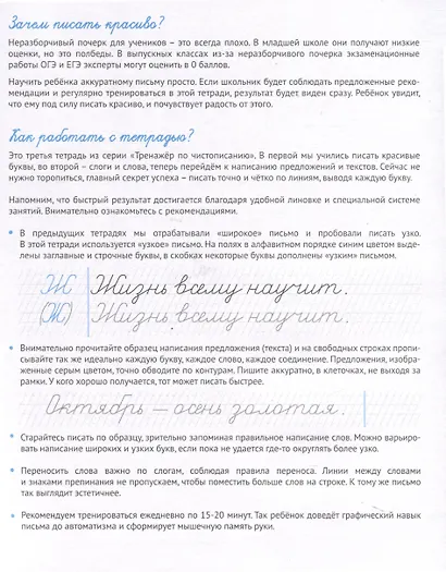Тренажер по чистописанию. Шаг 3. Учимся писать предложения и тексты - фото 4