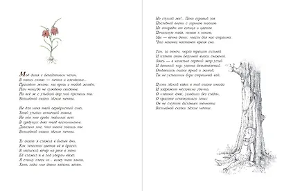 Алиса в Зазеркалье (ил. Х. Оксенбери) - фото 6