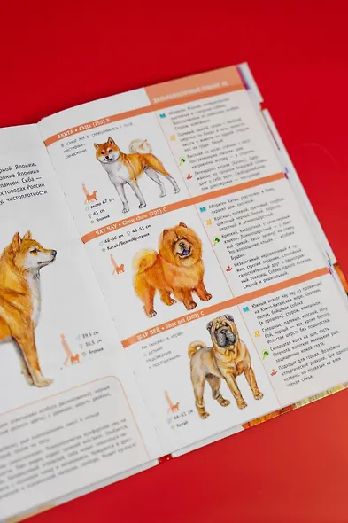 Породы собак. Определитель - фото 9
