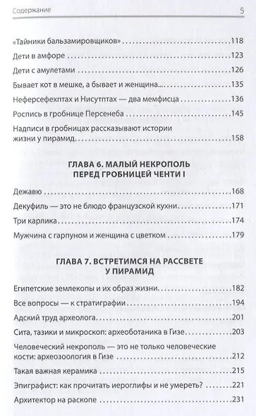 Забытые гробницы. Тайны древнеегипетского некрополя - фото 5
