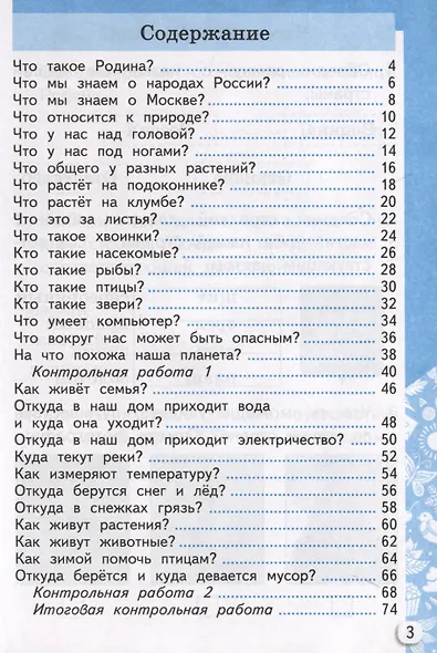 Окружающий мир. 1 класс. Самостоятельные и контрольные работы. К учебнику А. А. Плешакова "Окружающий мир. 1 класс. В 2-х частях. Часть 1" - фото 2