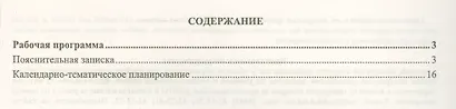 Информатика. 7 класс. Рабочая программа по учебнику Л.Л. Босовой, А.Ю. Босовой. ФГОС - фото 2