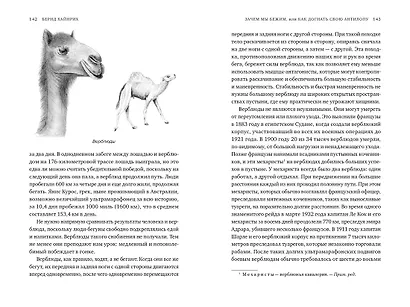 Зачем мы бежим, или Как догнать свою антилопу. Новый взгляд на эволюцию человека - фото 7