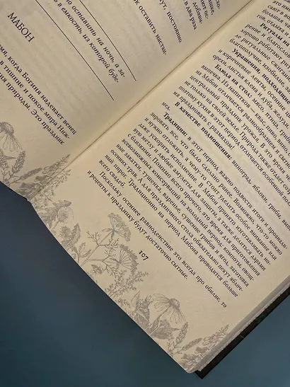 Викка. Ключ к природной магии - фото 6