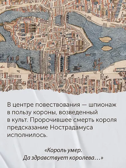 Летучий эскадрон: Предсказанная смерть. Шпионки на службе Екатерины Медичи - фото 6