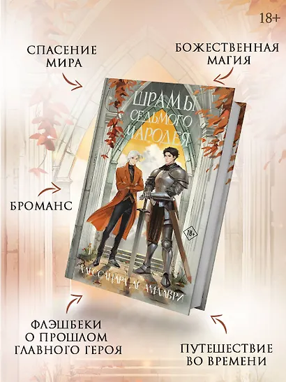 Шрамы седьмого чародея - фото 4