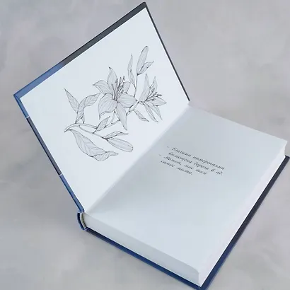 В этих гнилых стенах - фото 8